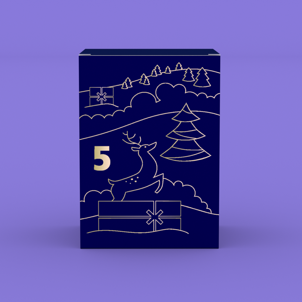 Day 5 box design