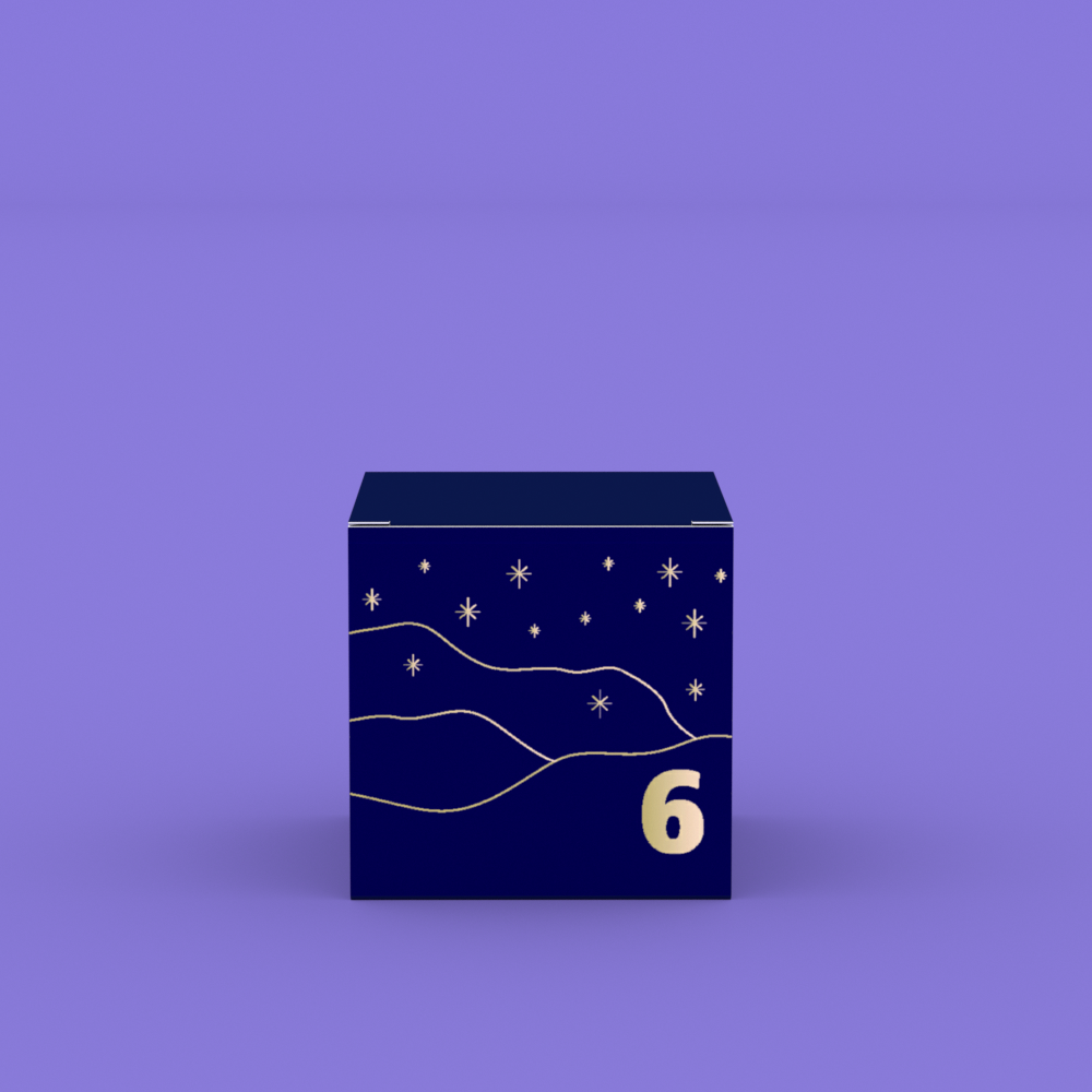 Day 6 box design